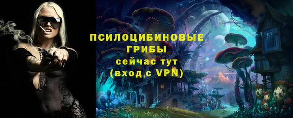 PSILOCYBIN Абинск